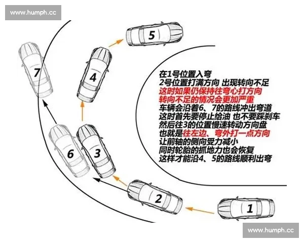 体育比赛数据分析适合新手入门吗 如何从基础开始理解和应用